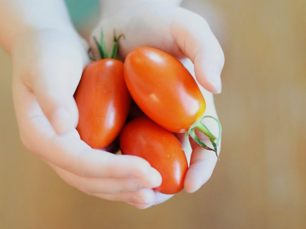 CIAO PASTA - TOMATE EN CANNE - TOMATE ITALIENNE - SAUCE TOMATE - TOMATO SAUCE - RECETTE DE SAUCE - LIVRAISON GRATUITE - SALSA