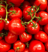 DATTERINI TOMATOES